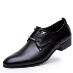 Pollogie™ Leather Shoes