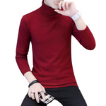 Pollogie™ Turtleneck Sweater