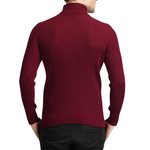 Pollogie™ Cashmere Turtleneck Sweater